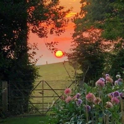 皇冠新体育APP下载