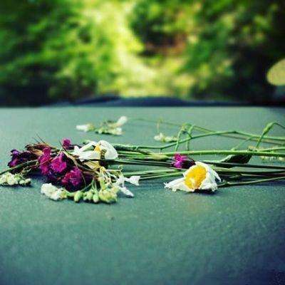 今天买什么特马