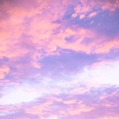 金星棋牌下载手机版