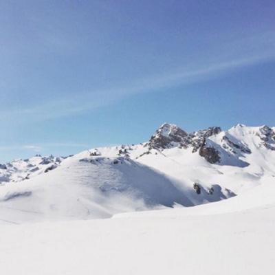 bb平台体育app官网